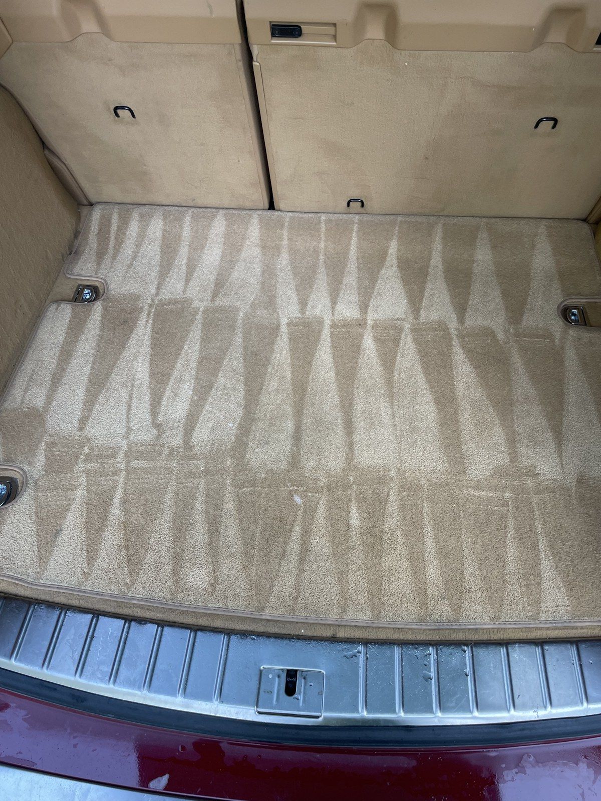 Cargo carpet shampoo, after